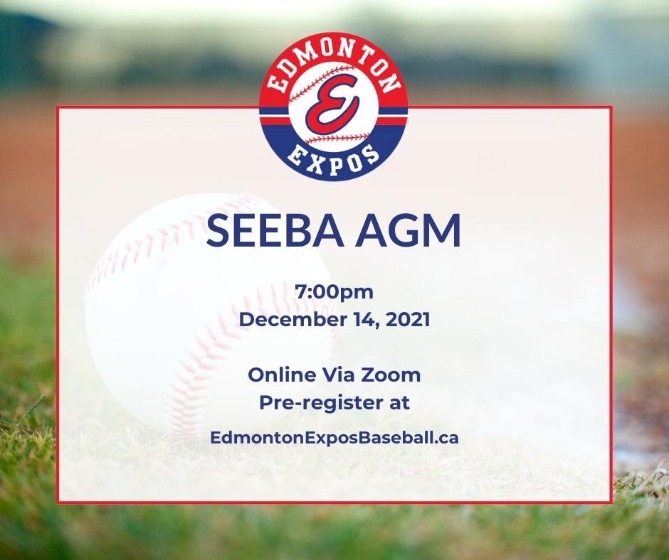 SEEBA Edmonton Expos Baseball site by RAMP InterActive